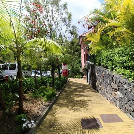 Living Funchal Center *